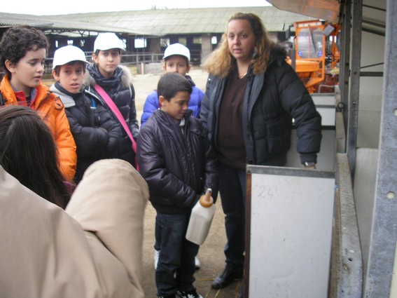 Didattica12