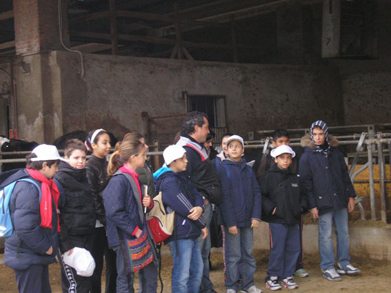 Didattica3