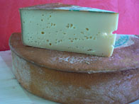 fontina low