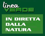 Linea Verde Rai 1