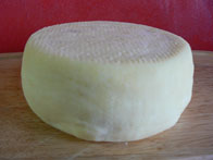 morbidella low