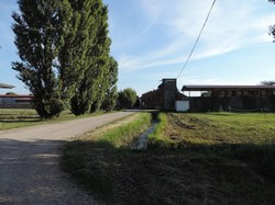 viale di accesso C.na Tavernasco